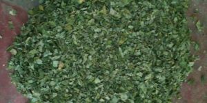 Dried Moringa Leaves
