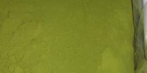 Dried Moringa Leaves Powder