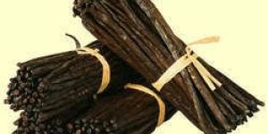 Indian Vanilla Beans