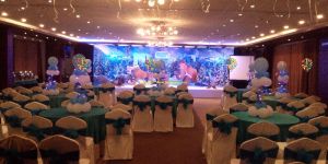 Birthday Party Event Services