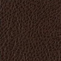 Leather Fabric