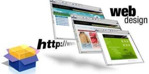 Customized Website Designing Services