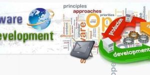 Software Developmet Service