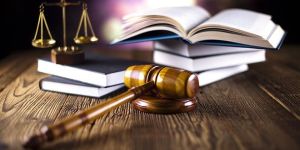 Legal Advisory Services