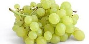 Fresh Grapes