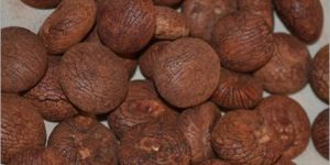Red Betel Nuts