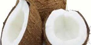 Coconut