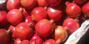 Pomegranate
