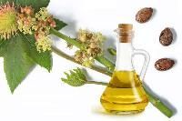 Castor Seed Oil