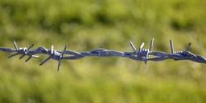 Barbed Iron Wire