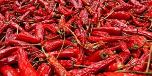 Dry Red Chilli
