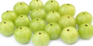 Fresh Gooseberry