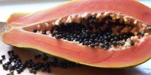 Fresh Pusa Majesty Papaya