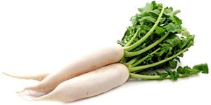 Fresh Radish