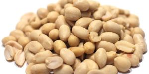 Groundnut Kernels