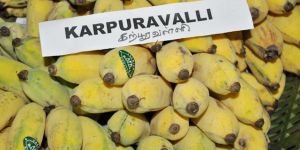Karpooravalli Banana