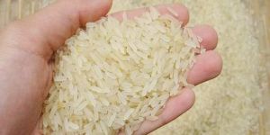 Parboiled Rice