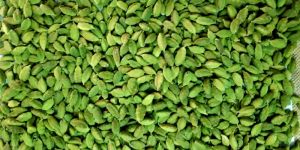 Fresh Green Cardamom