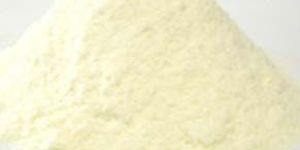 Whole Milk Powder
