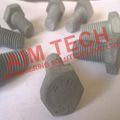 Hex Bolts Nuts