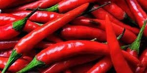 Fresh Red Chilli