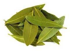 Bay Leaves