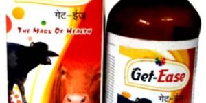 GET EASE CATTLES RANGE HOMEOPATHIC