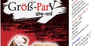 GROB PARV DOGS RANGE HOMEOPATHIC
