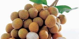 Fresh Longan