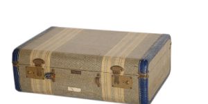 Printed Canvas Blue Color Leather-trimmed trunk