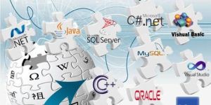 Software Development Services