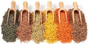 Indian Pulses
