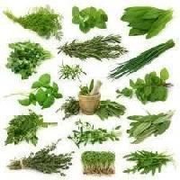 Crude Herb