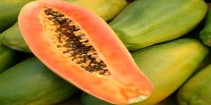 Papaya