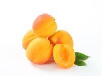 Dried Apricot