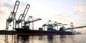 Export Packaging Solution