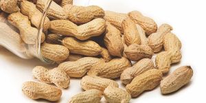 Shelled Groundnuts