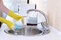 Dishwashing Liquids