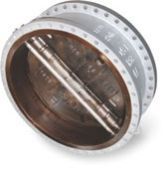 Dual  Plate Swing Valve IVDPCV