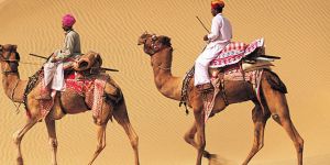 Tour Packages Services