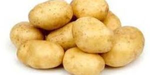 Fresh Potato