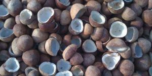 Coconut Copra