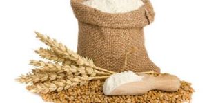 Wheat Flour