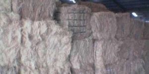 White Coir Fibre