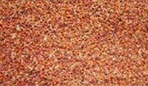 Finger Millet Seeds