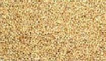 Yellow Millet Seeds