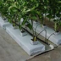 Coco Peat Coir Pith Grow Bags