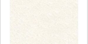 Double Charge Vitrified Tiles