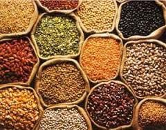 Indian Pulses
