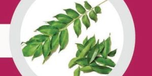 Curry Leaves